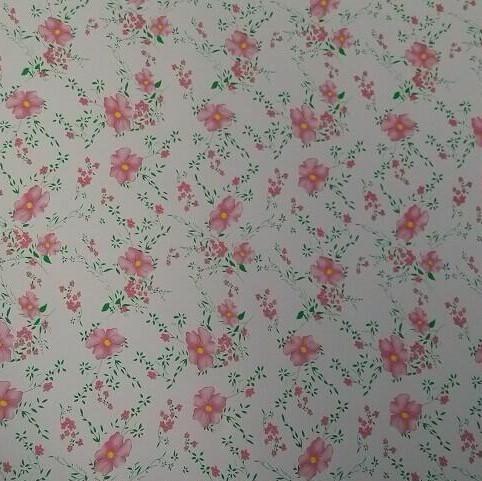 Ral 2169 Z60 90ga Wstępnie pomalowana blacha stalowa Gi Blacha powlekana w kolorze 3